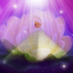 ascension lotus